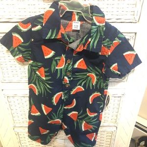 Baby boys short sleeve outfit